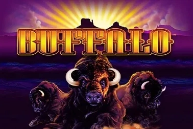 Buffalo pokie