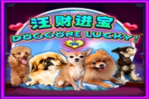 Doggone Lucky! pokie