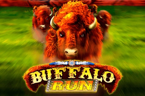 Buffalo Run pokie