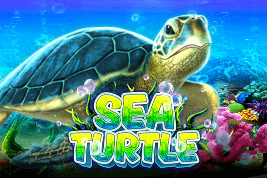 Sea Turtle pokie