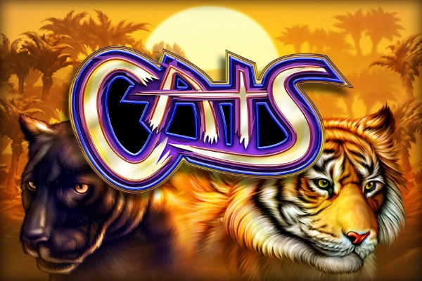 Cats pokie