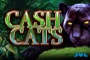 Cash Cats pokie