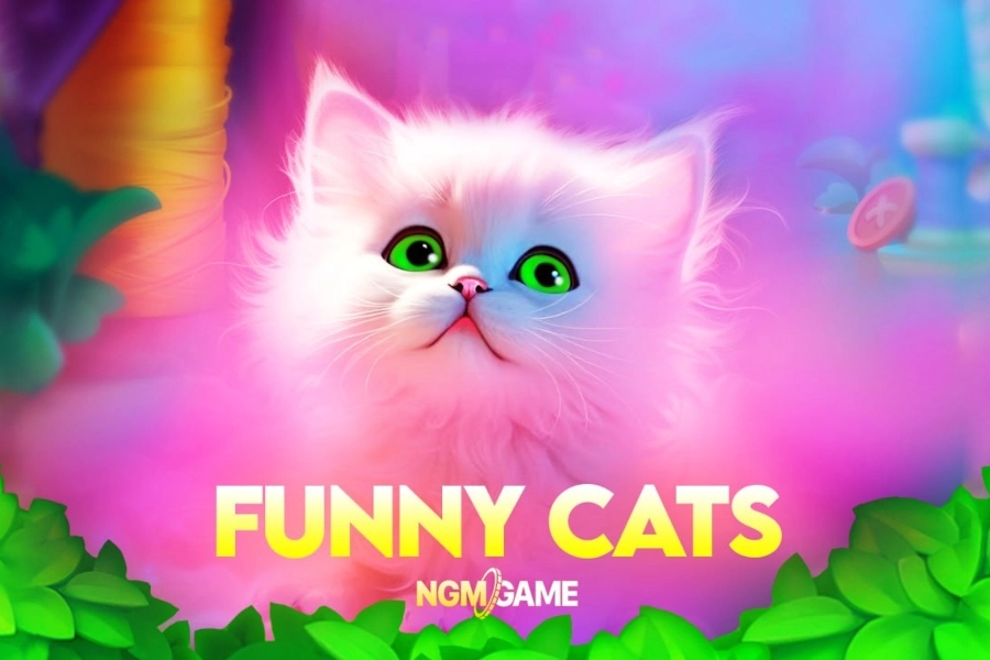 Funny Cats pokie