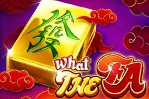 What the Fa pokie