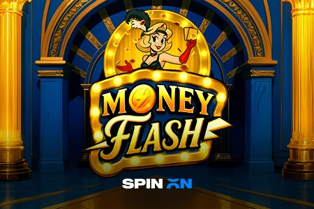 Money Flash pokie