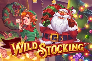Wild Stocking pokie
