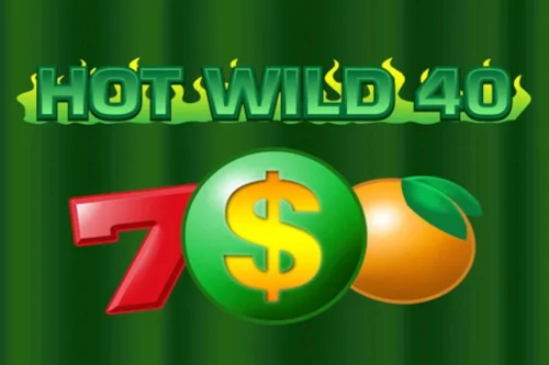 Hot Wild 40 pokie