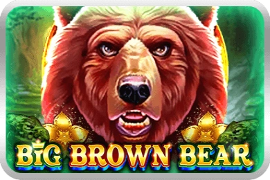 Big Brown Bear pokie